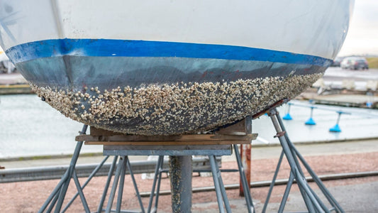 The bottom off a boat covered in barnacles.
