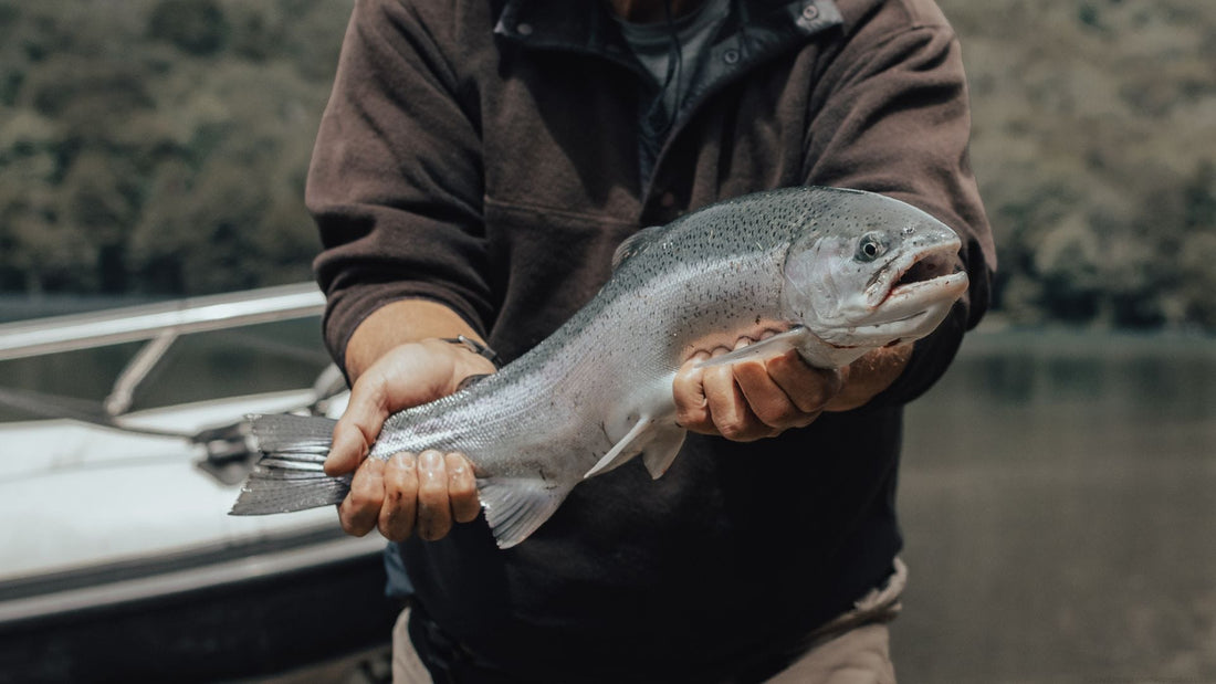 The Ultimate Guide to Deck Boat Fishing: Tips, Gear & Best Models