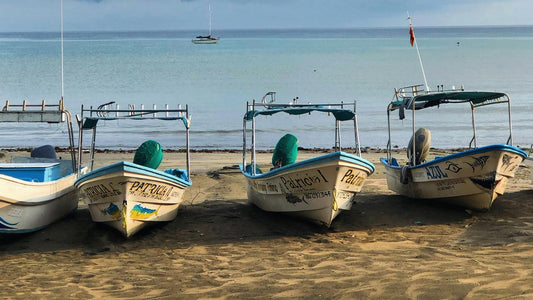A line of panga boats on a beach in Mexico.